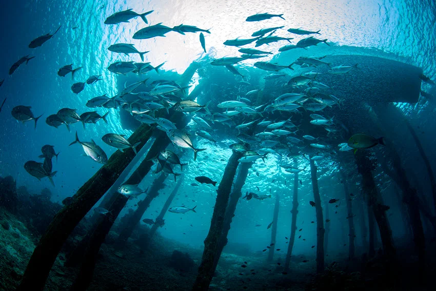 Fishing boats preparing for bottom fishing, captured from sea depth.