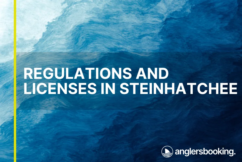An illustration of ocean waves in intricate shades of blue with a yellow line on the left side of the visual, the heading Regulations and Licenses in Steinhatchee, and the Anglers Booking logo at the bottom right.