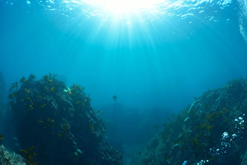 An underwater view of the ocean bottom, with rays of sunlight shining through the water, illuminating rocks and patches of grass.