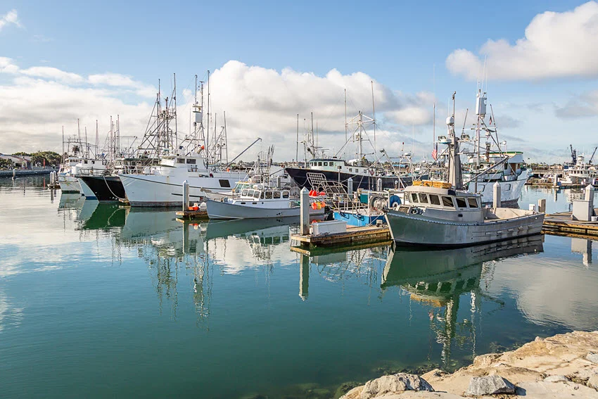 Fleet of fishing boats docked at a marina under bright morning light.