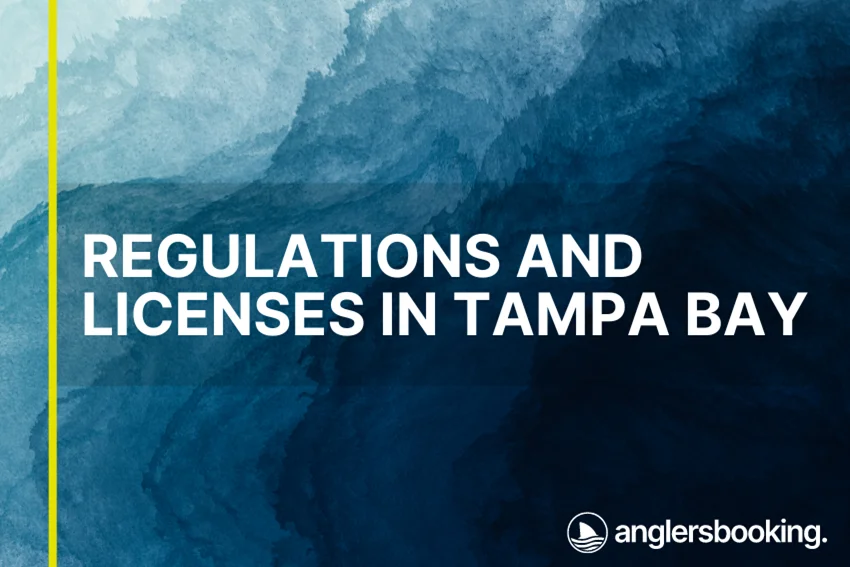 An illustration of ocean waves in intricate shades of blue with a yellow line on the left side of the visual, the heading Regulations and Licenses in Tampa Bay, and the Anglers Booking logo at the bottom right.