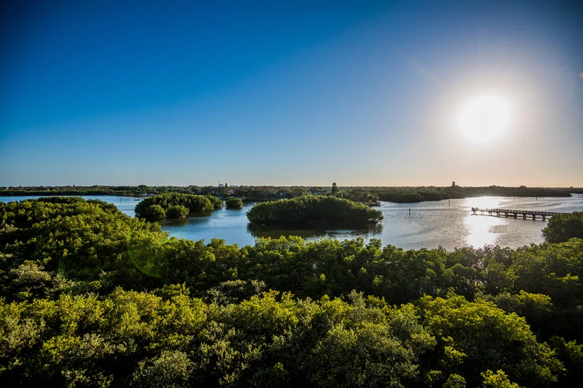Sunlight over the lush greenery and calm waters of Weedon Island Preserve.