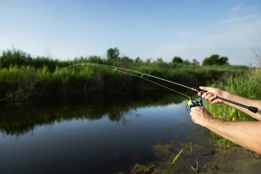 Angler catching fish at sunrise, pulling the rod while fishing from a lake or pond, with a scenic nature background.