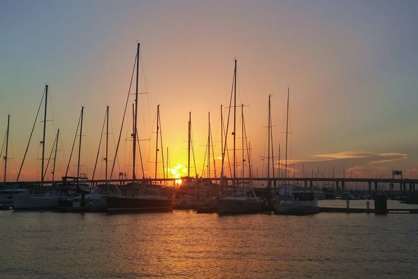 View of Charleston City Marina with moored boats, showcasing the vibrant coastal charm of Charleston, South Carolina, United States.