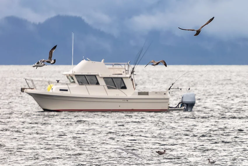Fishing boat drifting peacefully in a bay in Alaska, USA, with birds flying above and a soft focus mountainous background.