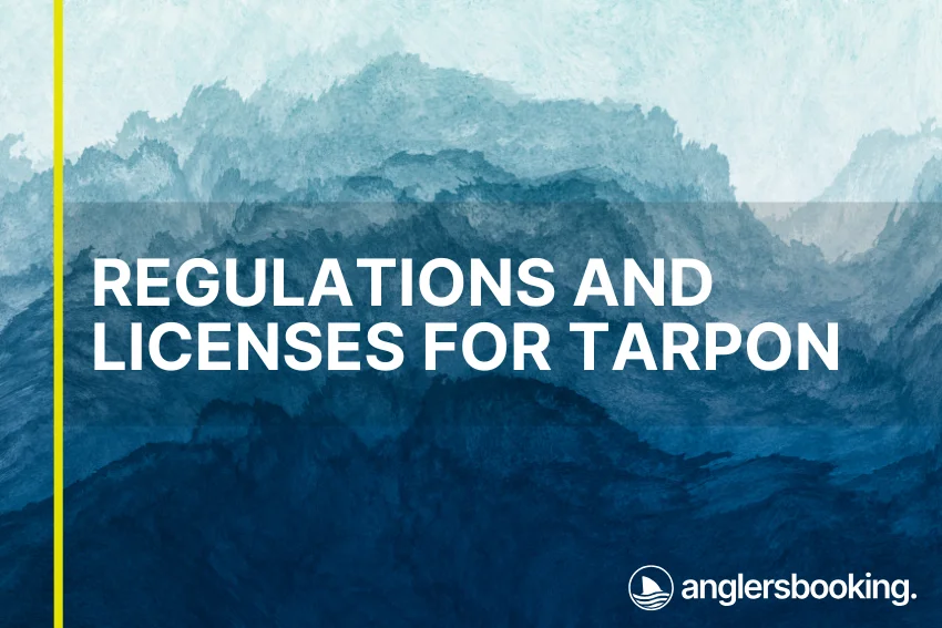 An illustration of ocean waves in intricate shades of blue, with a yellow line on the left side of the visual, the heading Regulations and Licenses for Tarpon, and the Anglers Booking logo at the bottom right.