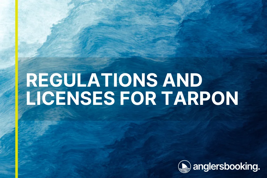 An illustration of ocean waves in intricate shades of blue, with a yellow line on the left side of the visual, the heading Regulations and Licenses for Tarpon, and the Anglers Booking logo at the bottom right.