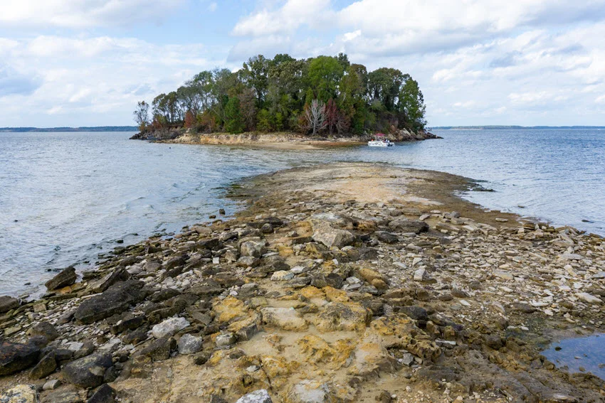 A view of a beautiful island on Sam Rayburn Reservoir, covered in lush trees and surrounded by calm, reflective waters.