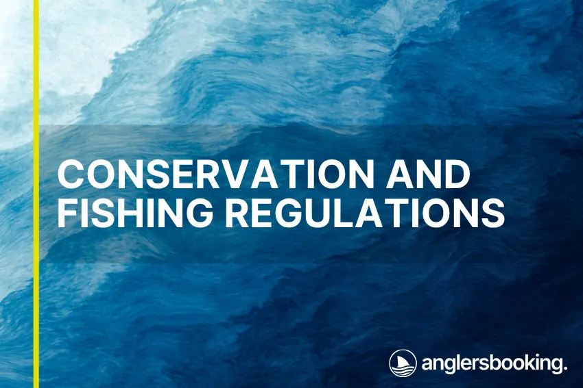 An illustration of ocean waves in intricate shades of blue, with a yellow line on the left side of the visual, the heading Conservation and Fishing Regulations, and the Anglers Booking logo at the bottom right.