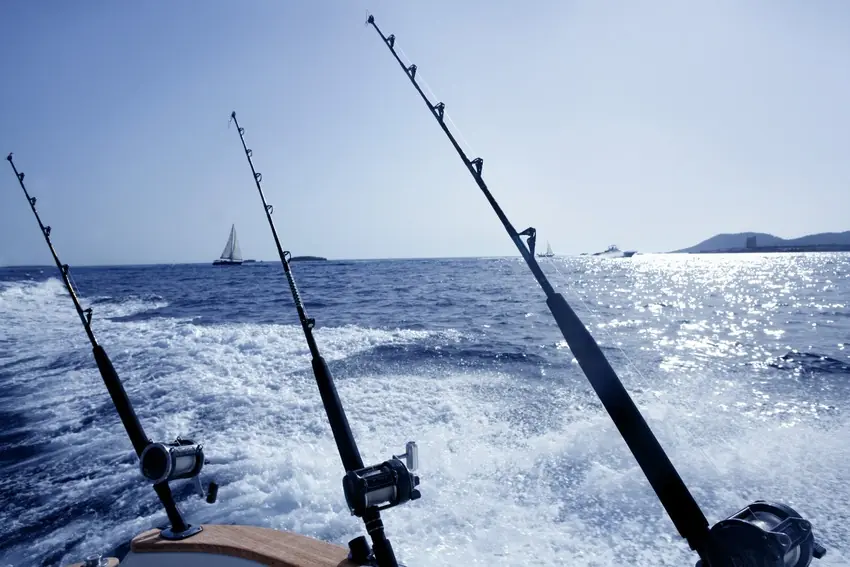 Several saltwater fishing rods stand in holders at the stern of a moving boat, with open water and a distant coastline ahead.