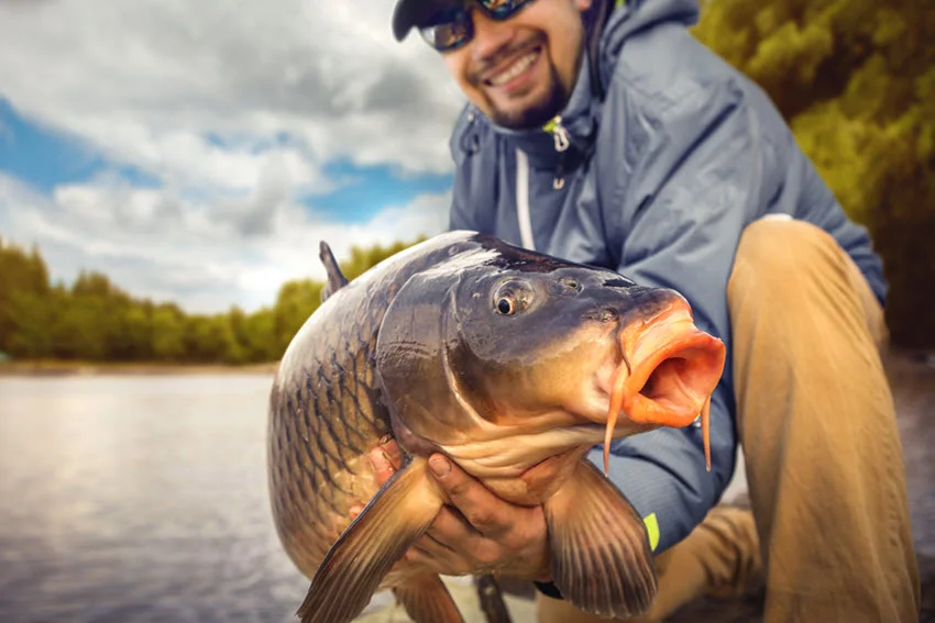 Angler holding a big Carp near the water, proudly posing with his catch.