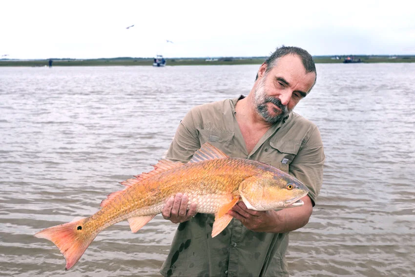 Angler holding a Red Drum in shallow coastal water, showing the fish's copper color and black tail spot.
