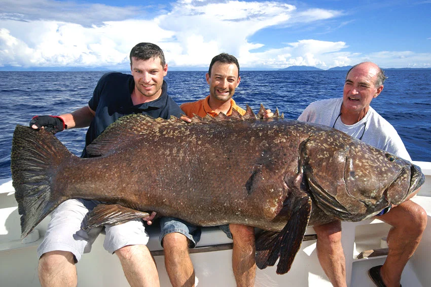 Anglers holding a massive Giant Grouper across an offshore boat on open water after a successful saltwater fishing trip.