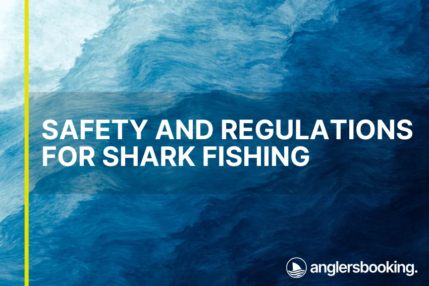 An illustration of ocean waves in intricate shades of blue, with a yellow line on the left side of the visual, the heading Safety and Regulations for Marlin Fishing, and the Anglers Booking logo at the bottom right.