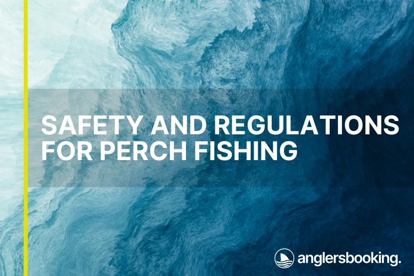 An illustration of ocean waves in intricate shades of blue, with a yellow line on the left side of the visual, the heading Safety and Regulations for Perch Fishing, and the Anglers Booking logo at the bottom right.