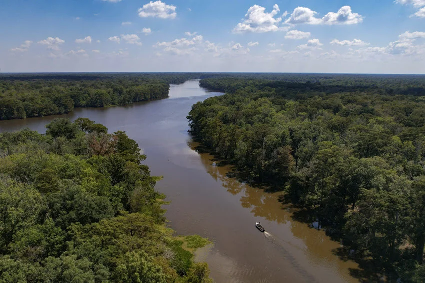 Aerial view of a swamp area in Louisiana, with dense forest trees, winding waterways, and lush green vegetation spread across the landscape.