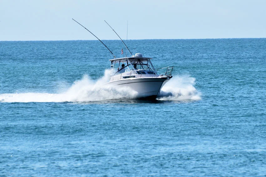 Fishing in Venice: The Ultimate Guide.