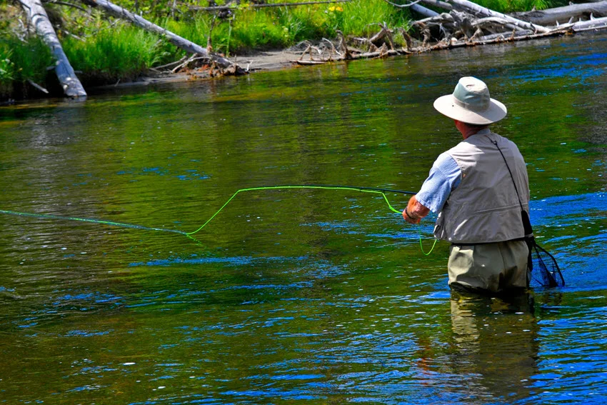 An angler wades through water near the rocky shore overgrown with grass and vegetation.