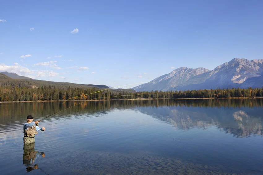 Wade angler fishes in the mountain river in the morning, surrounded by dense forest and high mountains.