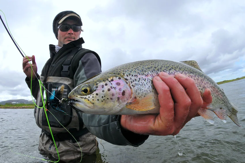 A wade angler stands in the river and holds freshly caught Rainbow Trout.