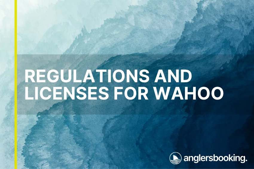 An illustration of ocean waves in intricate shades of blue, with a yellow line on the left side of the visual, the heading Regulations and Licenses for Wahoo, and the Anglers Booking logo at the bottom right.