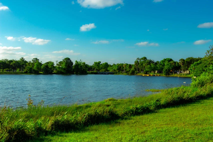 A blue lake surrounded by green terrain in Okeeheelee Park.