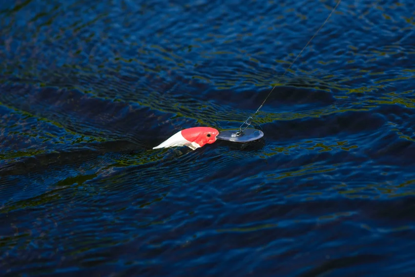 A red-and-white crankbait sits partly submerged in rippled blue water, with a broad diving bill and a snap connecting it to fishing line.