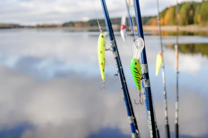 Brightly colored crankbaits hang beside upright fishing rods near calm water, with a green lure and its clear diving bill in focus.